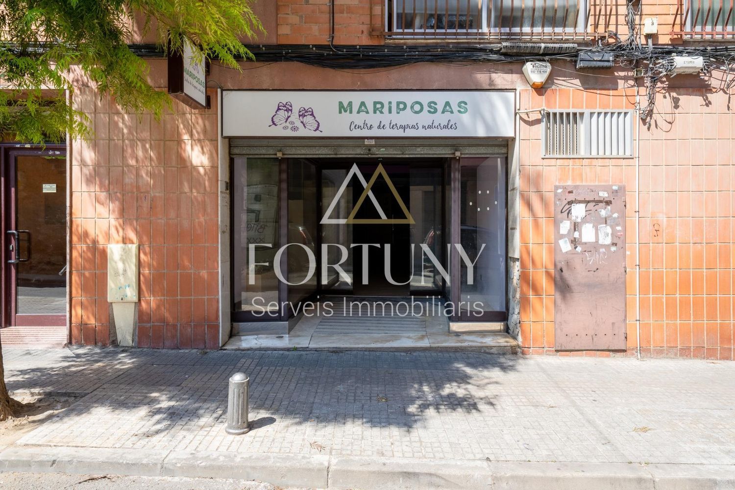 Foto del inmueble