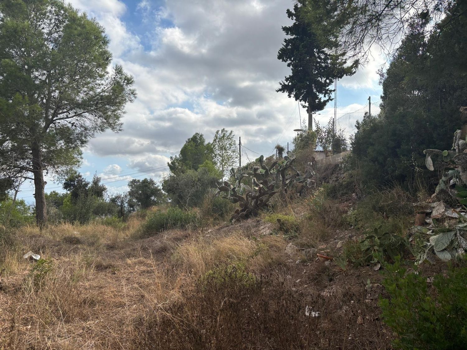 Foto del inmueble