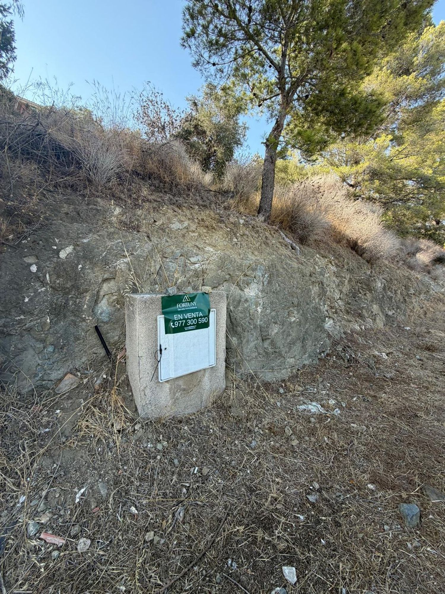 Foto del inmueble
