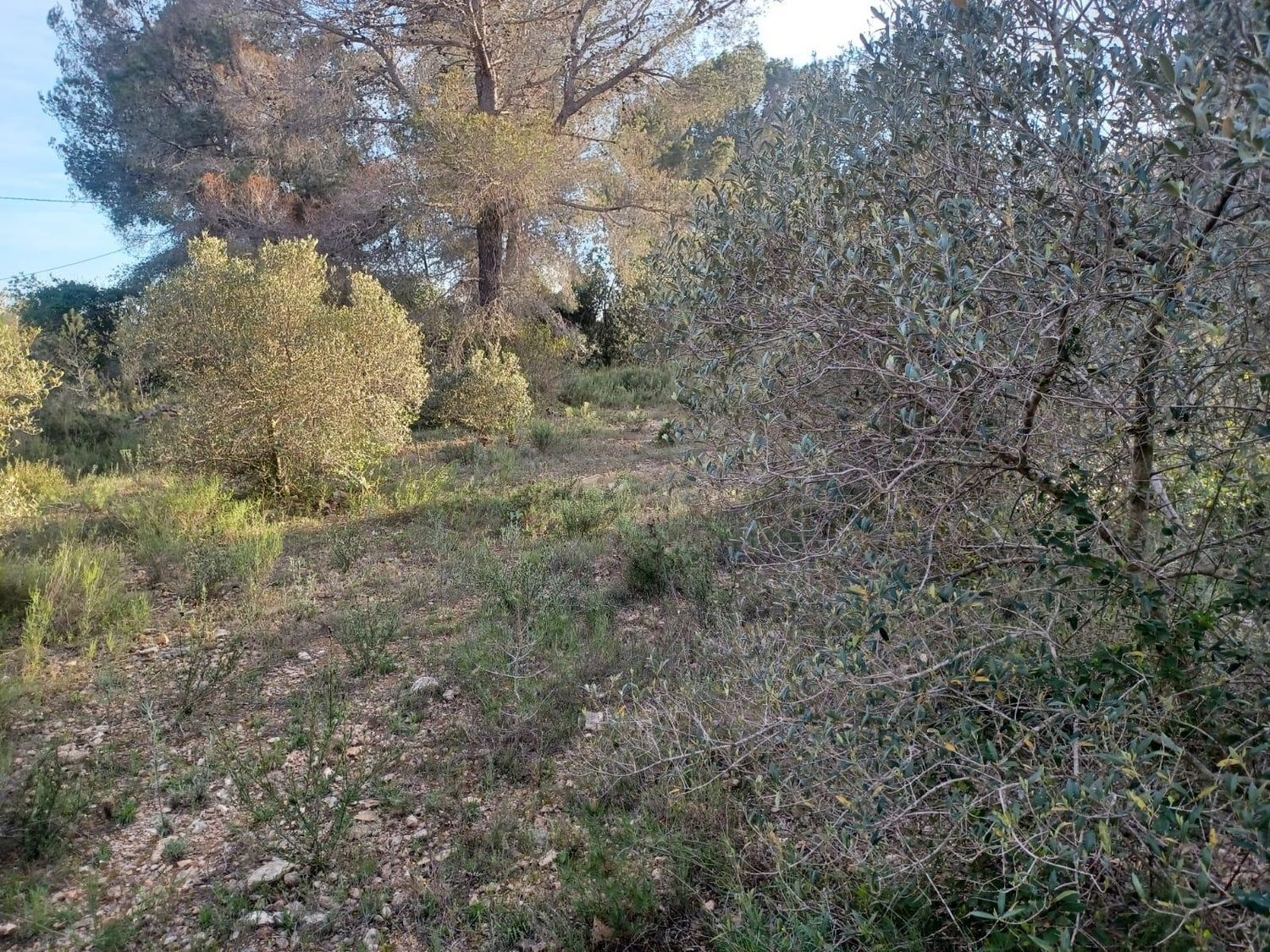 Foto del inmueble
