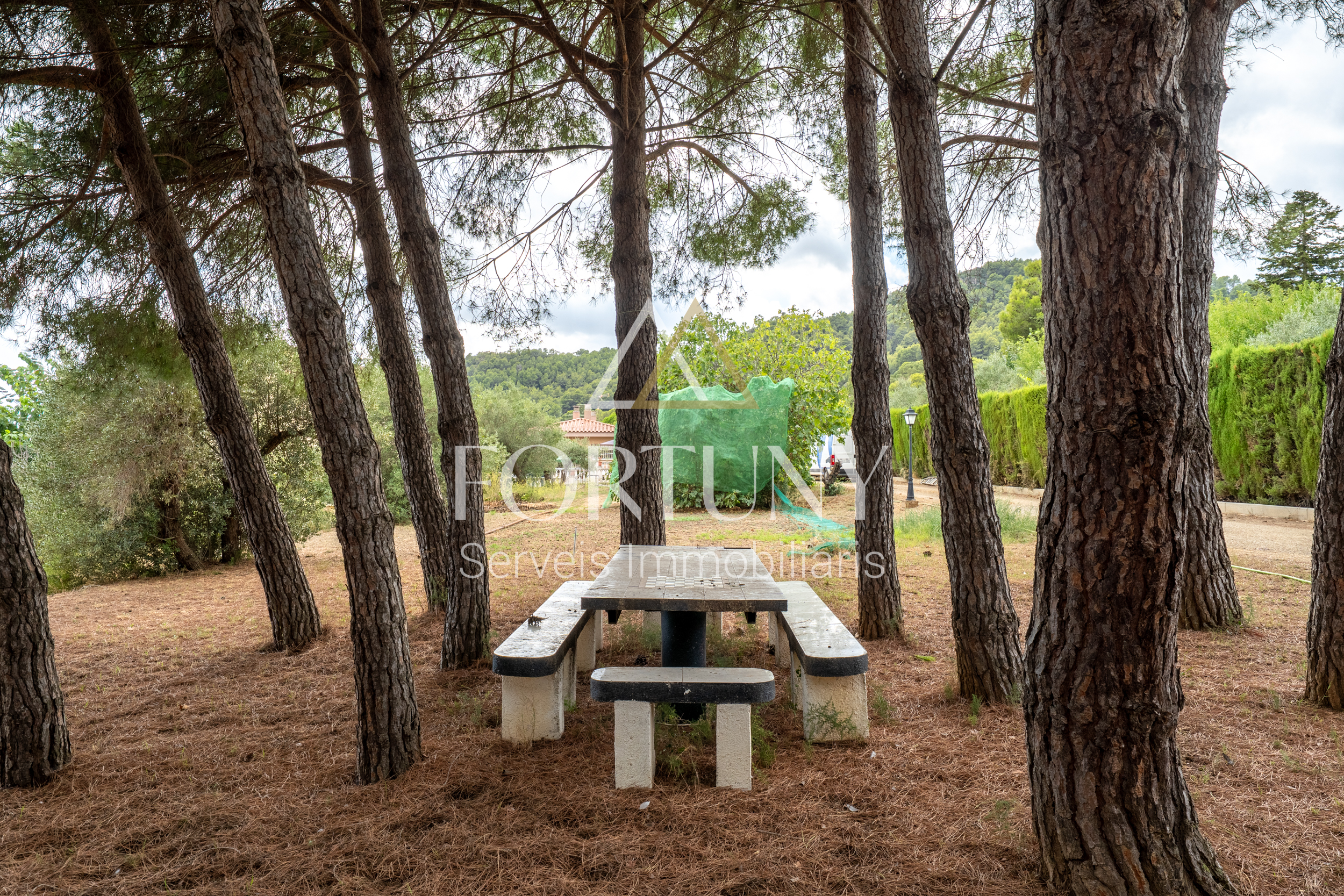 Foto del inmueble