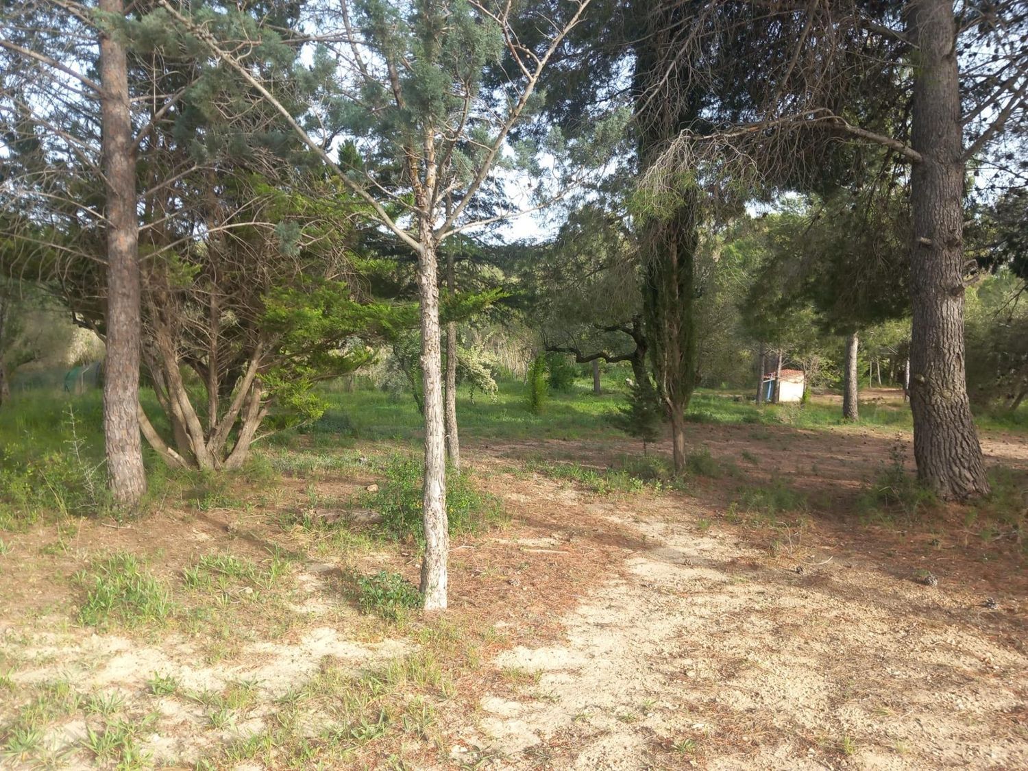 Foto del inmueble