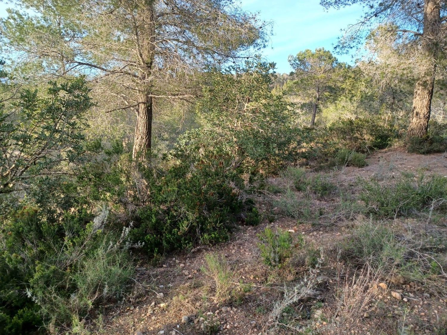 Foto del inmueble