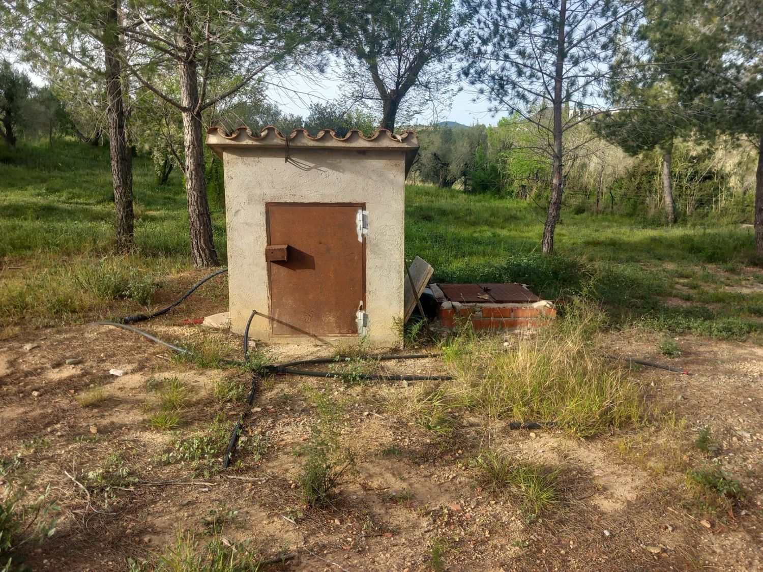 Foto del inmueble