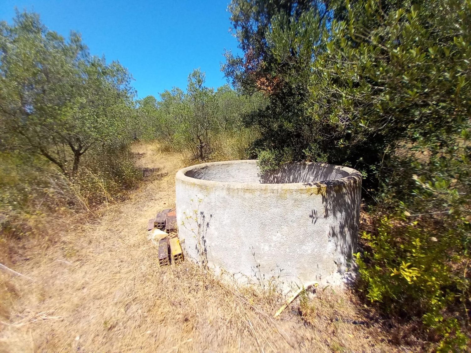 Foto del inmueble