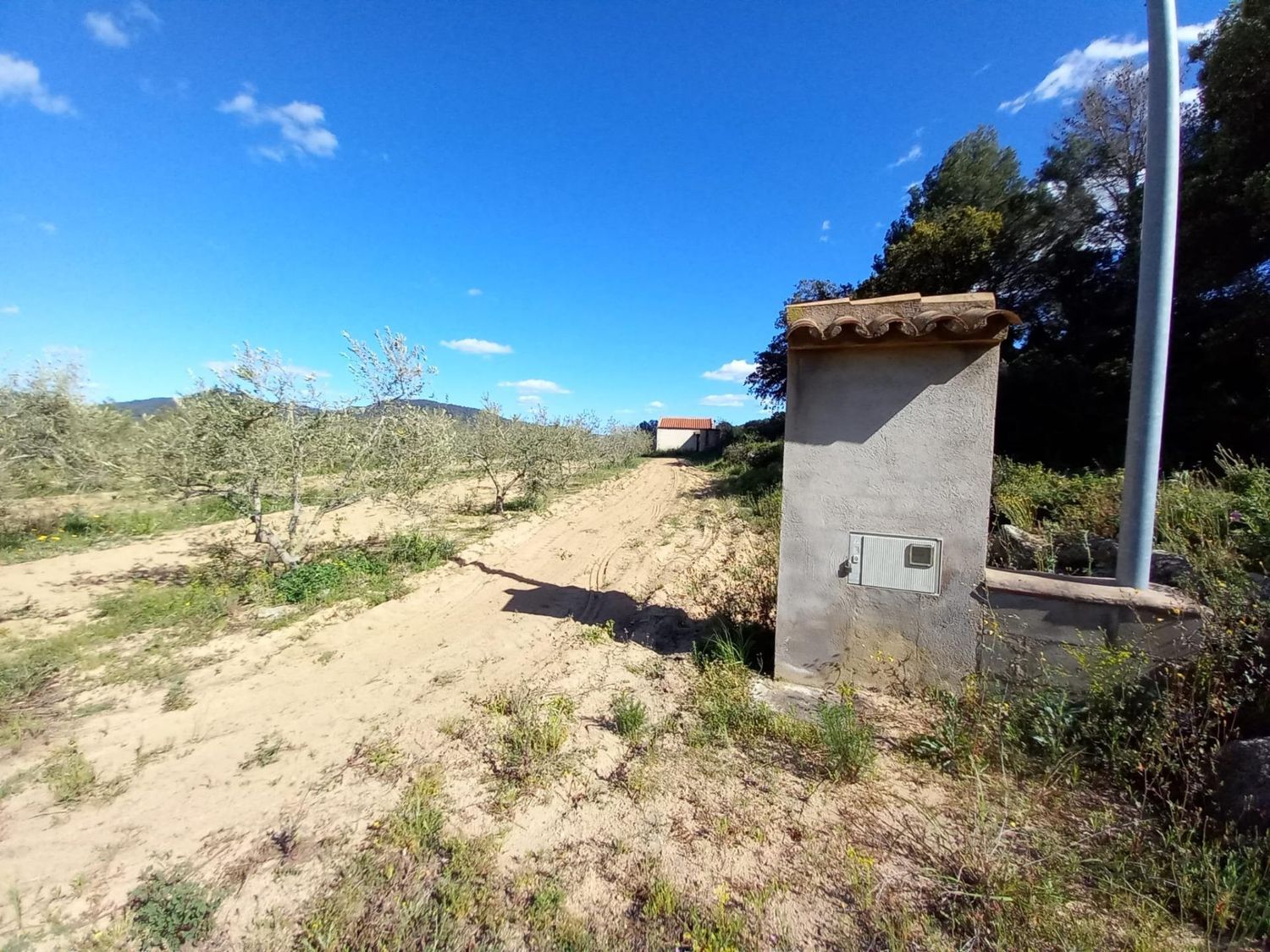 Foto del inmueble