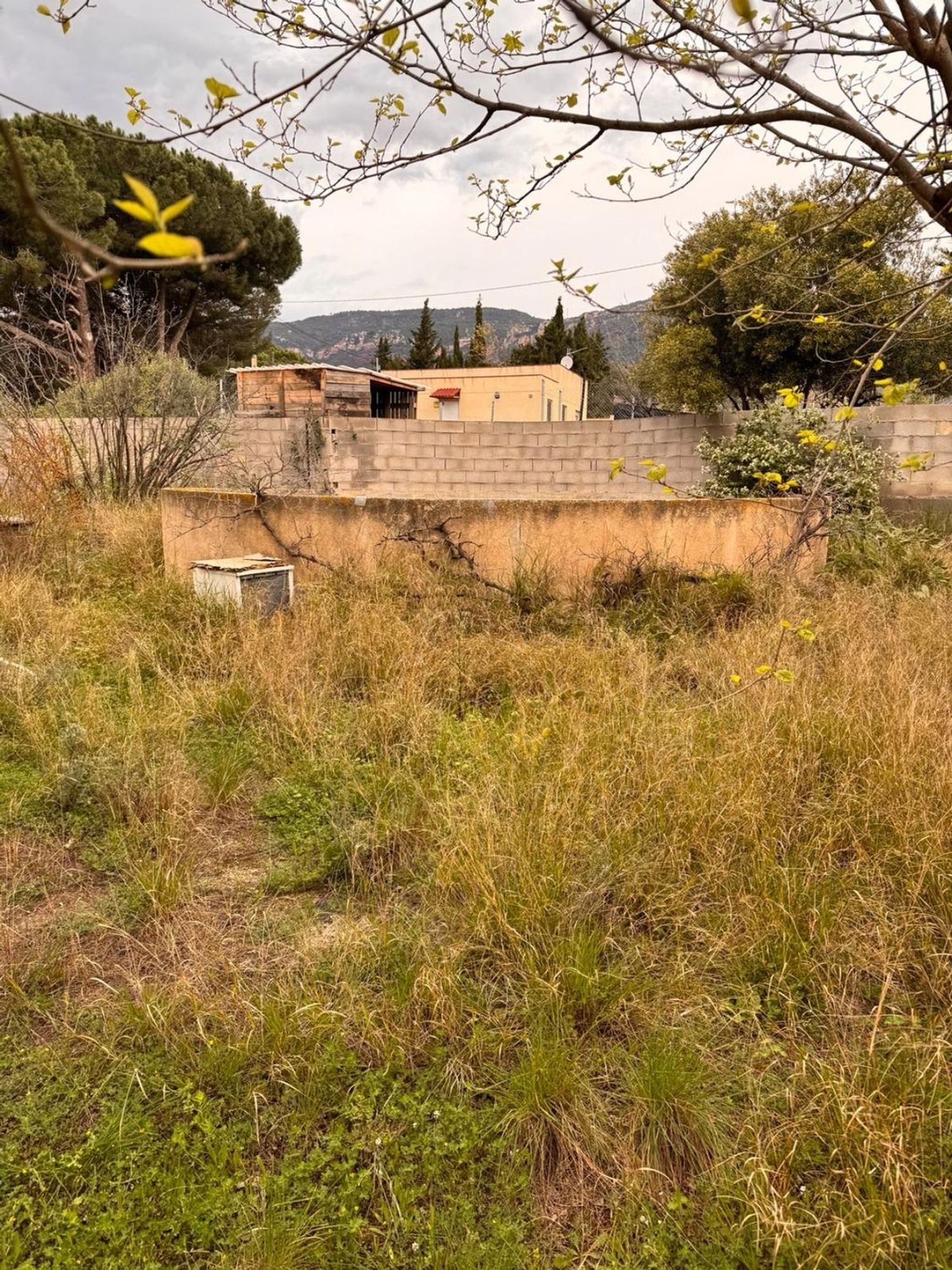 Foto del inmueble