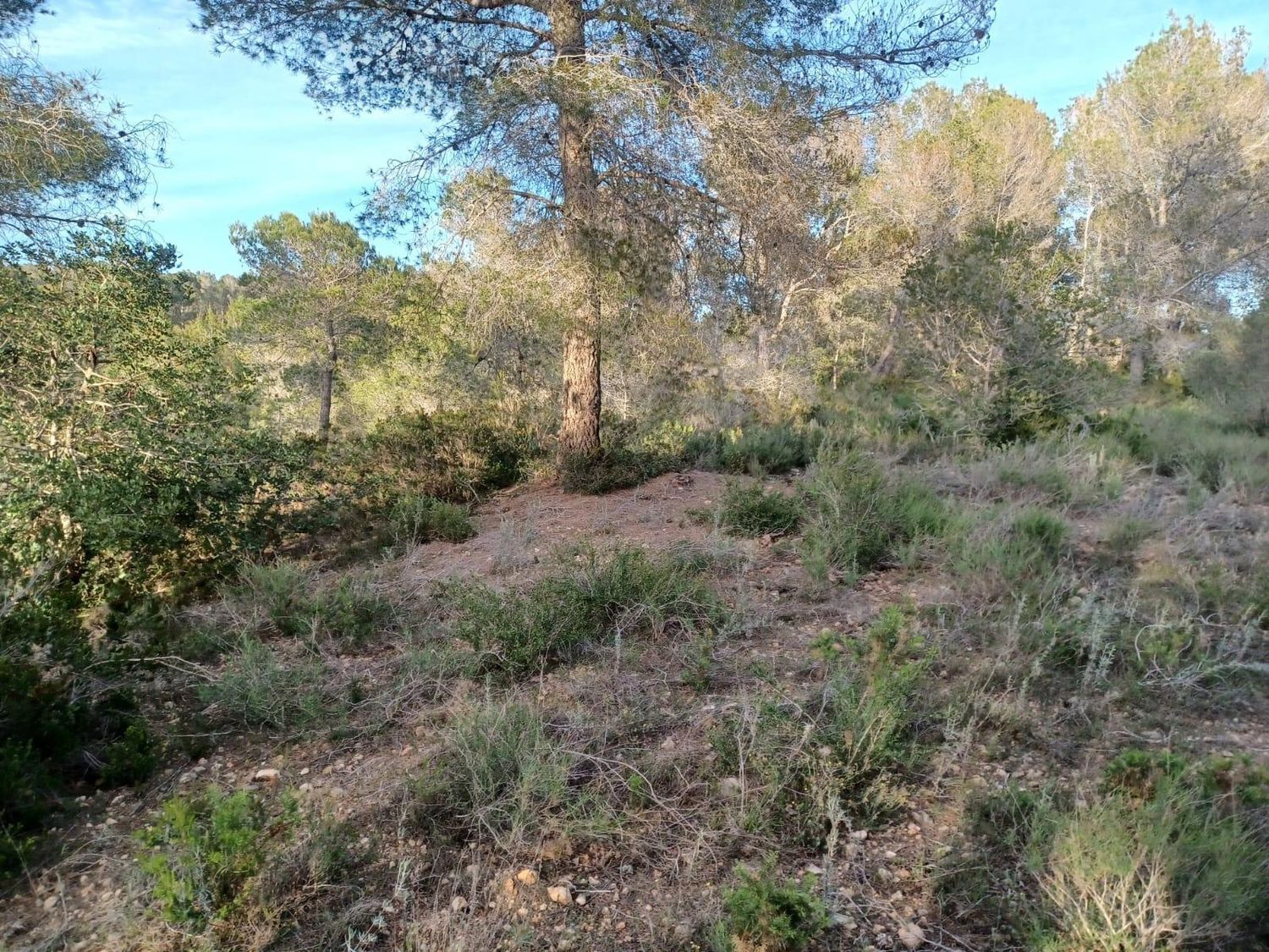 Foto del inmueble