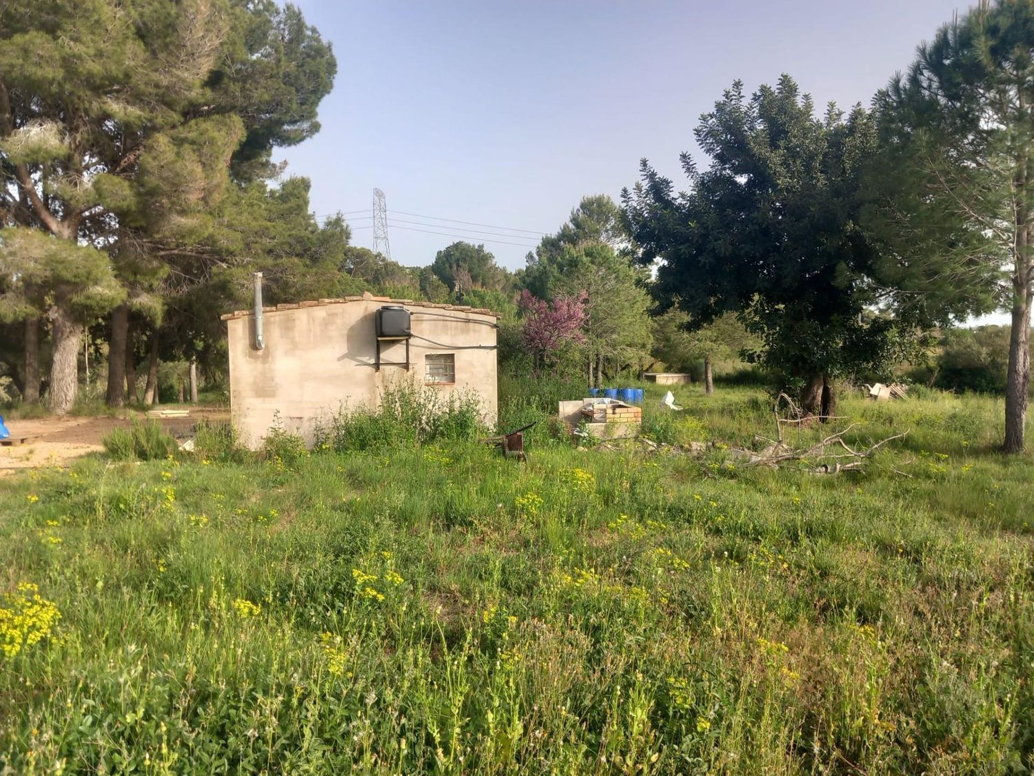 Foto del inmueble