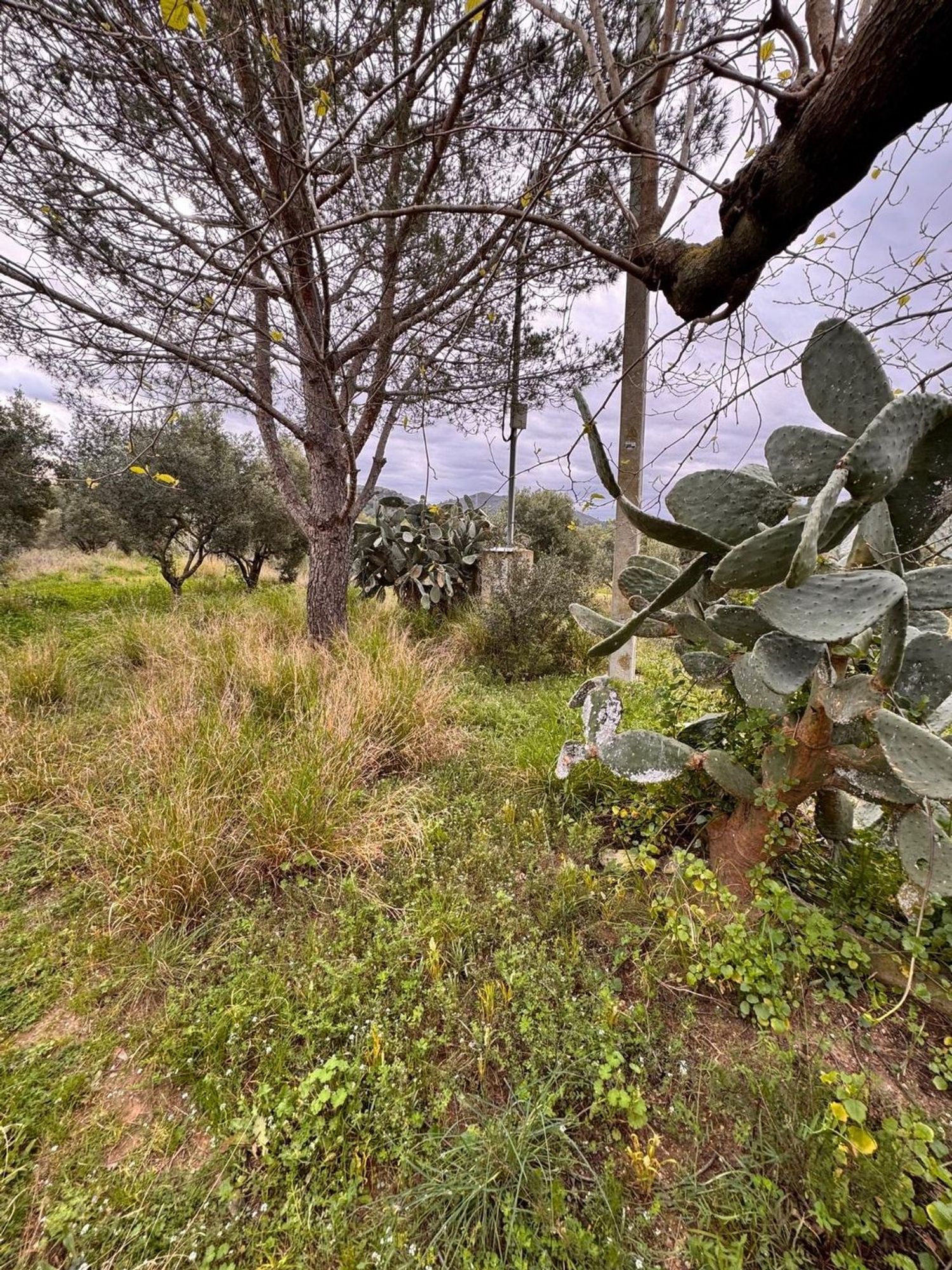 Foto del inmueble