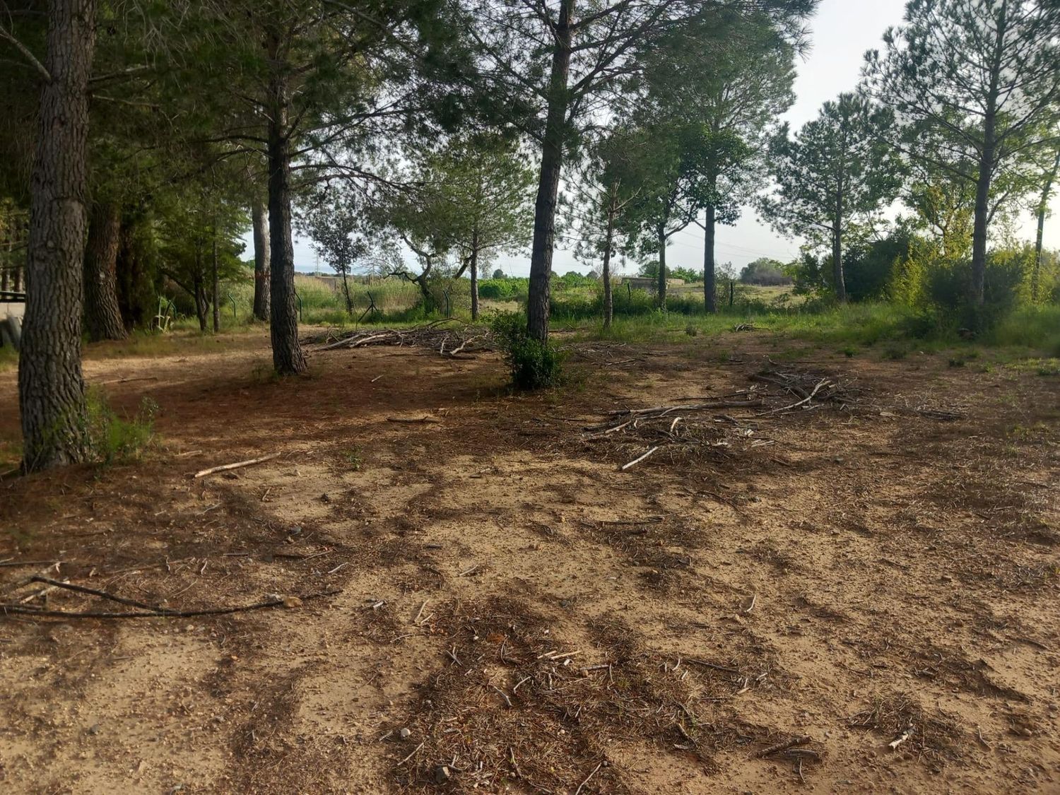 Foto del inmueble