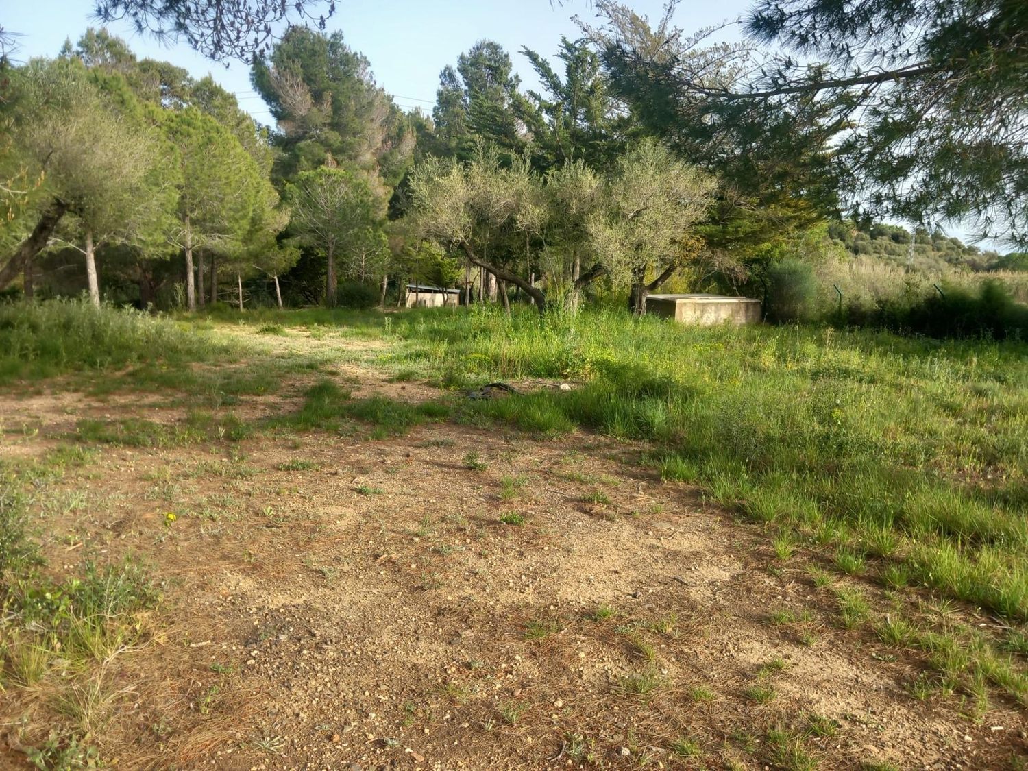 Foto del inmueble