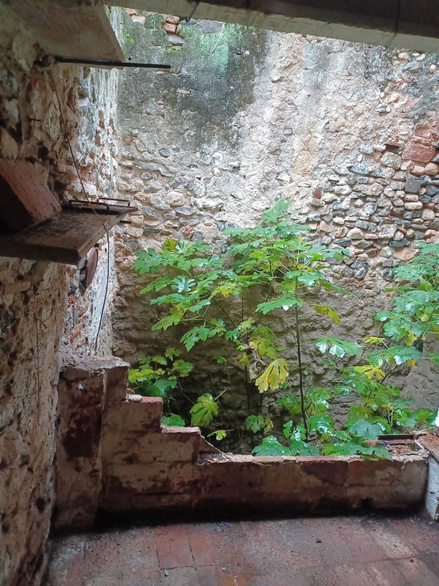 Foto del inmueble